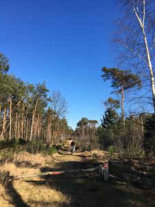 center-parcs-de-kempervennen-the-netherlands-4