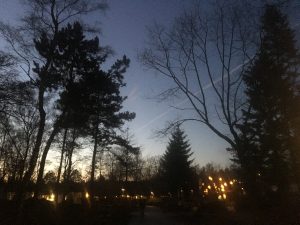 center-parcs-de-kempervennen-the-netherlands-6
