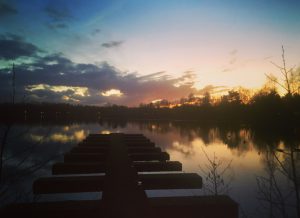 center-parcs-de-kempervennen-the-netherlands-5